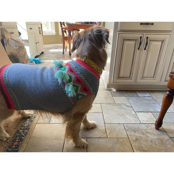 Gray Dog Sweater with Green Fringe, Size L, NWOT - Picture 2 of 4